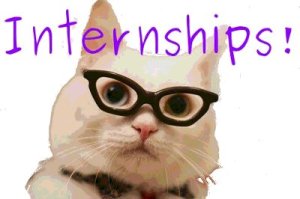 http://www.blogging4jobs.com/wp-content/uploads/2013/12/internships_cat.jpeg